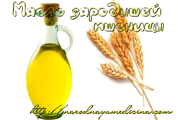 масло зародышей пшеницы применение 