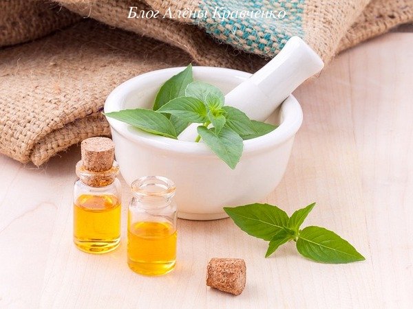 Сухие волосы что делать в домашних условиях