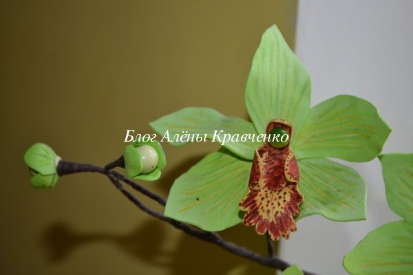 орхидея из фоамирана