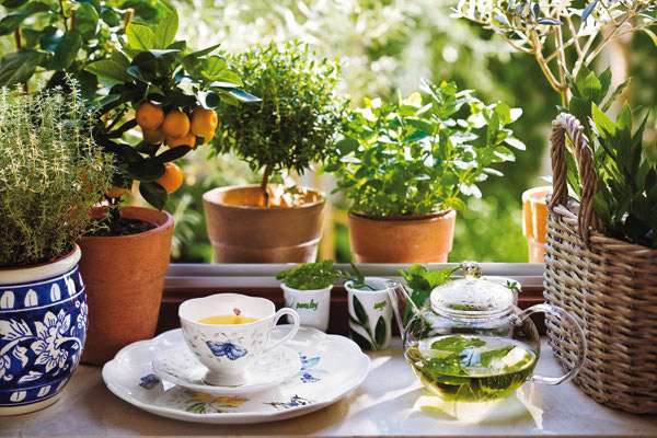 Как быстро вылечить простуду за 1 день