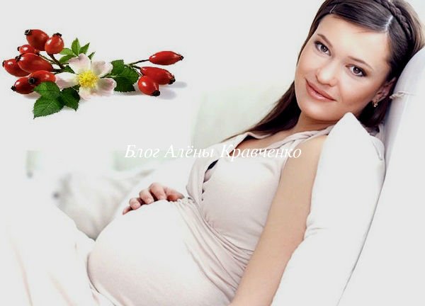 Шиповник при беременности