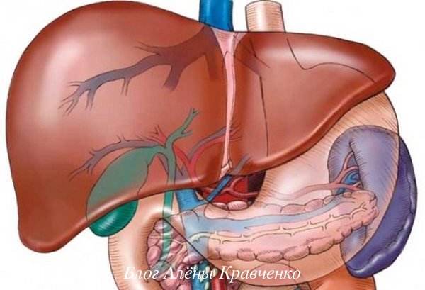 как и чем очистить печень. %D0%B4%D0%BB%D1%8F %D0%BF%D0%B5%D1%87%D0%B5%D0%BD%D0%B8. как и чем очистить печень фото. как и чем очистить печень-%D0%B4%D0%BB%D1%8F %D0%BF%D0%B5%D1%87%D0%B5%D0%BD%D0%B8. картинка как и чем очистить печень. картинка %D0%B4%D0%BB%D1%8F %D0%BF%D0%B5%D1%87%D0%B5%D0%BD%D0%B8.