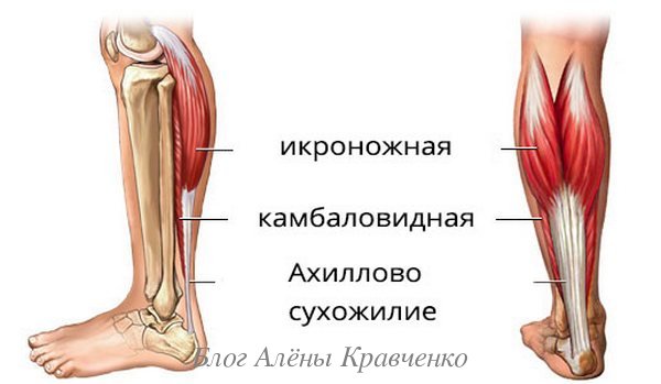 Судороги мышц ног