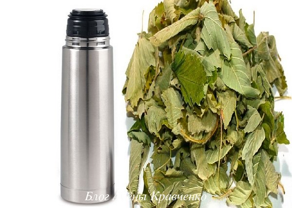 Чай из листьев земляники 