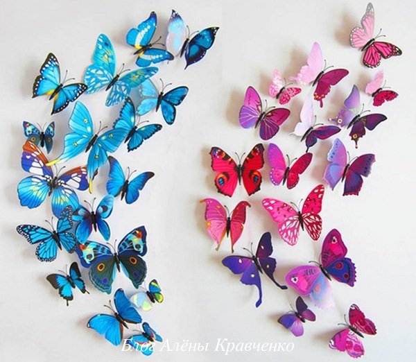 Бабочки на стене 