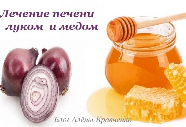Лечение печени луком и медом 
