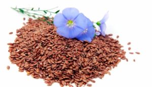семена льна применение противопоказания