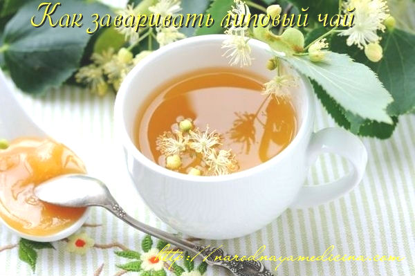 Липовый чай полезные свойства