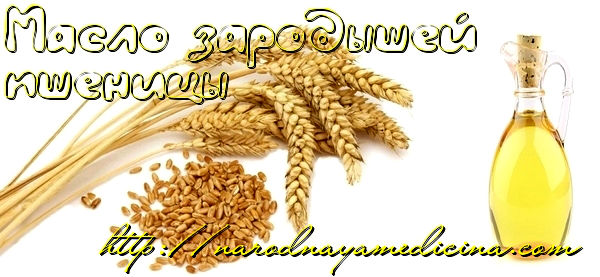 масло зародышей пшеницы применение