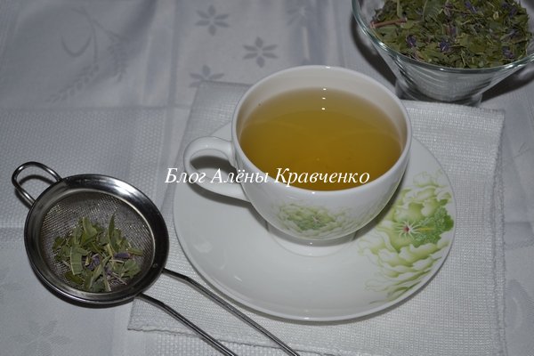 Трава иван чай лечебные свойства