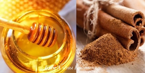 Корица с медом — польза и вред