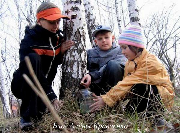 Березовый сок