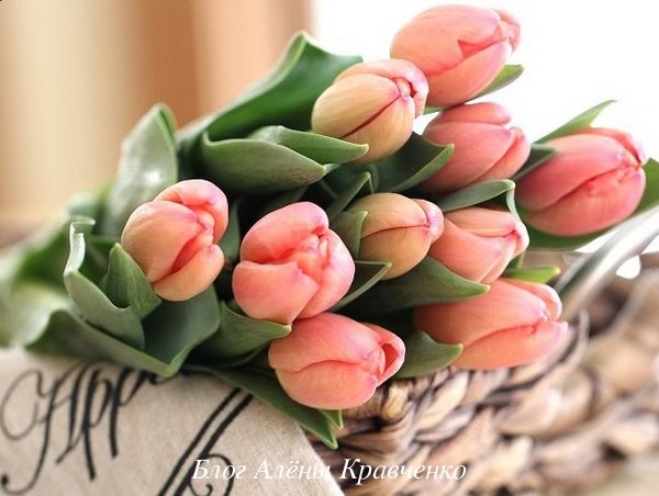 Какие цветы на 8 марта подарить девушке, жене, маме, бабушке, коллегам по работе