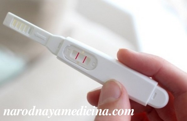 Как правильно использовать тест на беременность. Планшетный, струйный, цифровой тест, стрип-полосы