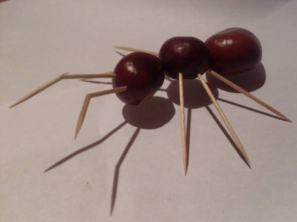 Поделка муравей из каштанов 